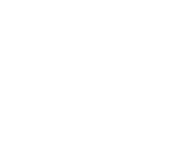 Ermis Logomarca Branco